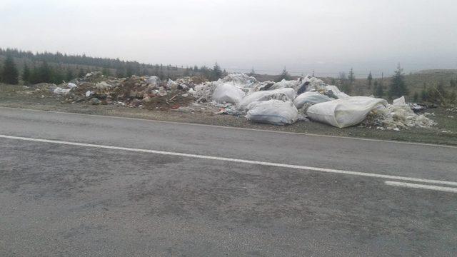 Eskişehir-Sarıcakaya yolunu çöplüğe çevirdiler