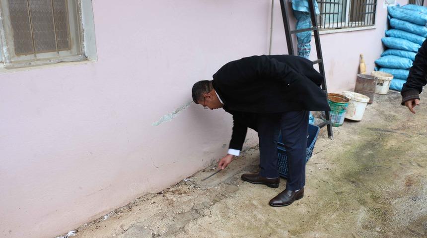 Kırkayağa benzeyen b&ouml;cek, evleri istila etti (2)