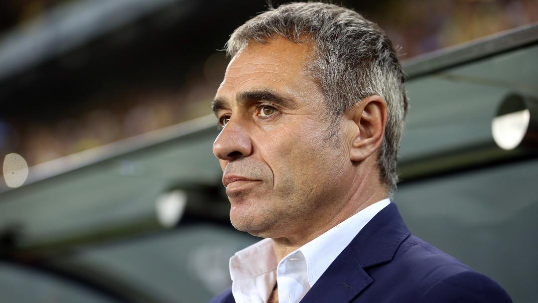 Fenerbah&ccedil;e taraftarının Ersun Yanal &ccedil;ılgınlığı