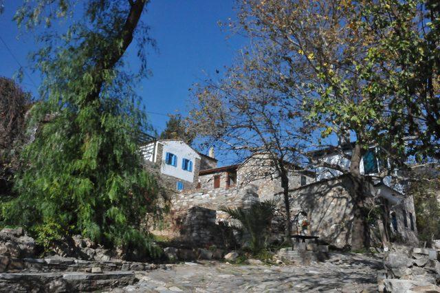 Osmanlı Paşası'nın torunu, müze geliriyle sokak kedilerini doyuruyor