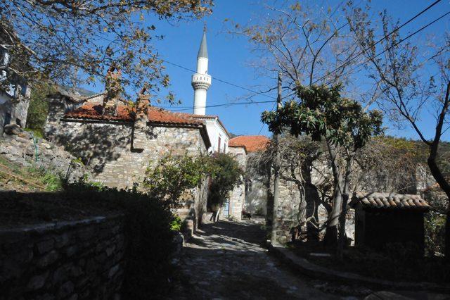 Osmanlı Paşası'nın torunu, müze geliriyle sokak kedilerini doyuruyor