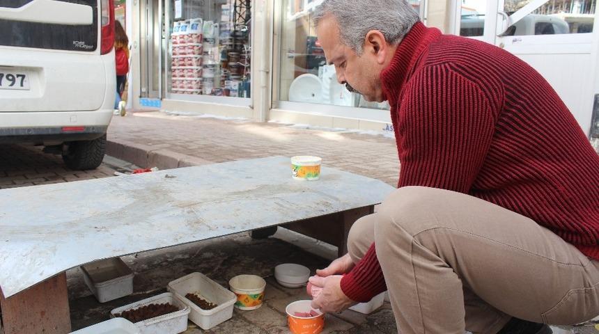 Esnaf, sokak hayvanlarına sahip &ccedil;ıkıyor