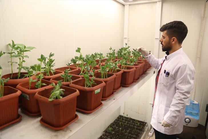 Böcekler EXPO 2023'e 'uğur' getirecek G3