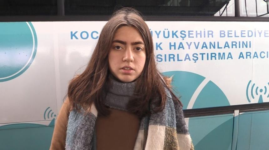 Mobil kısırlaştırma aracı hayvanseverlerin hizmetinde