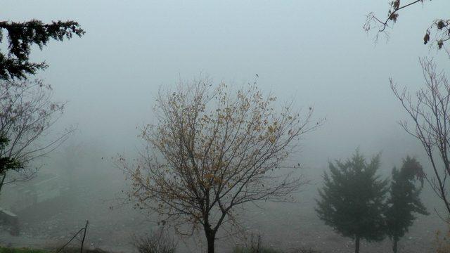 Adıyaman’da sis nedeniyle göz gözü görmüyor