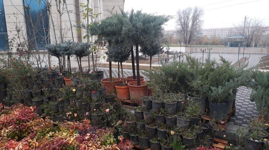 Iğdır’da ithalat ve ihracat