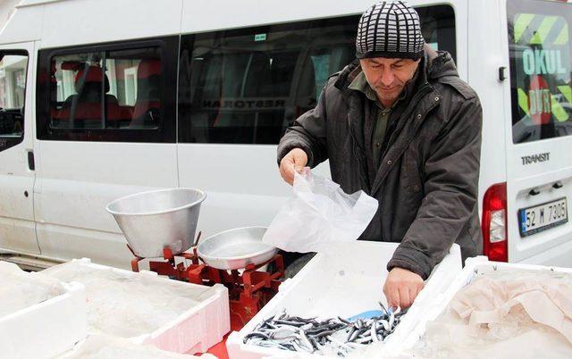 Tezgahlarda balık bolluğu