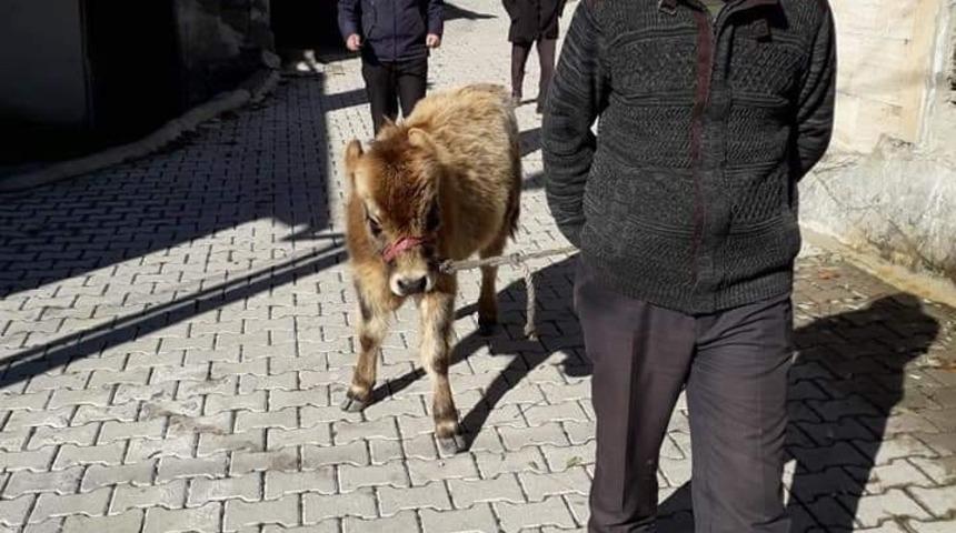 Yabani hayvanlara ve soğuk kış şartlarına rağmen dağda tek başına 3 ay yaşadı