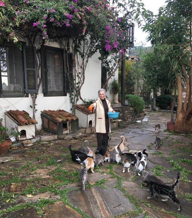 Osmanlı Paşası'nın torunu, müze geliriyle sokak kedilerini doyuruyor  G1