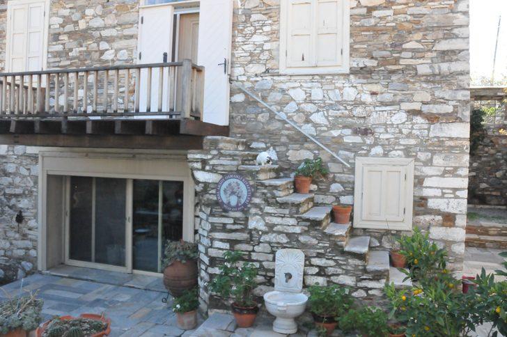 Osmanlı Paşası'nın torunu, müze geliriyle sokak kedilerini doyuruyor  G3