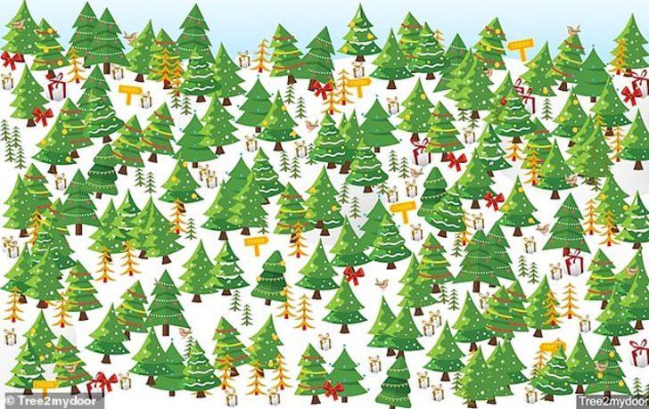 Hediyeler arasındaki cüzdanı bulabilecek misiniz? G3