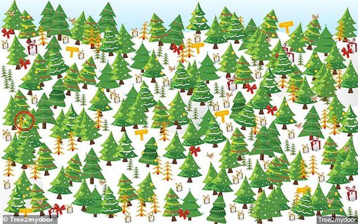 Hediyeler arasındaki cüzdanı bulabilecek misiniz? G4