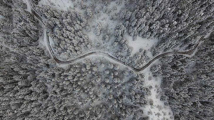 Kastamonu ormanlarında "beyaz örtü"nün görsel şöleni  G1