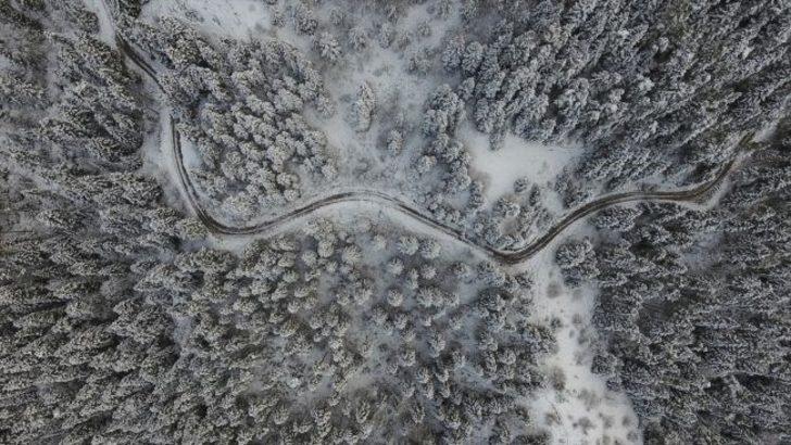 Kastamonu ormanlarında "beyaz örtü"nün görsel şöleni  G4