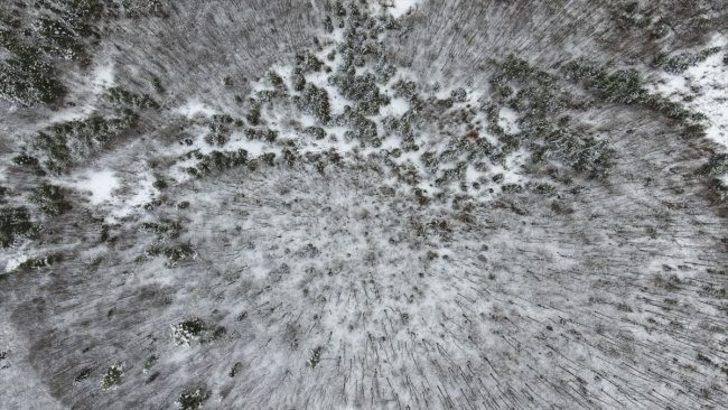 Kastamonu ormanlarında "beyaz örtü"nün görsel şöleni  G5