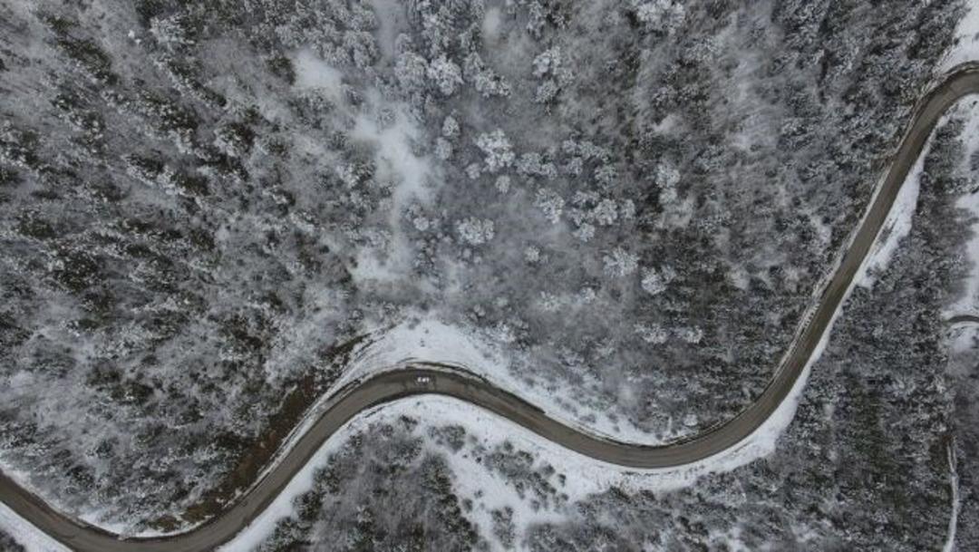 Kastamonu ormanlarında "beyaz &ouml;rt&uuml;"n&uuml;n g&ouml;rsel ş&ouml;leni 