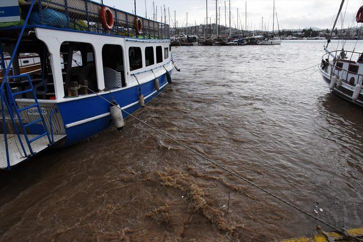 Fethiye ve Bodrum'da fırtına çatıları uçurdu G5