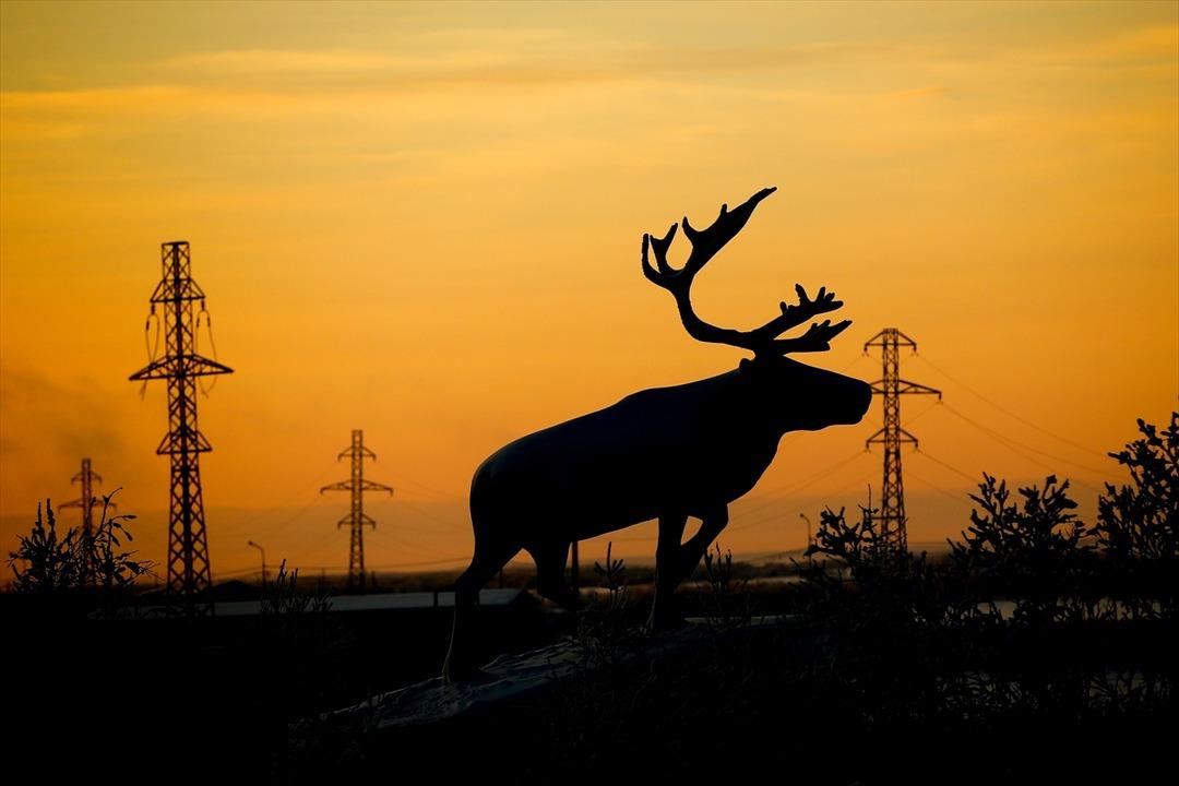 Kuzey Kutup b&ouml;lgesinde yaşıyorlar! İşte eksi 25 derecedeki zorlu yaşam 