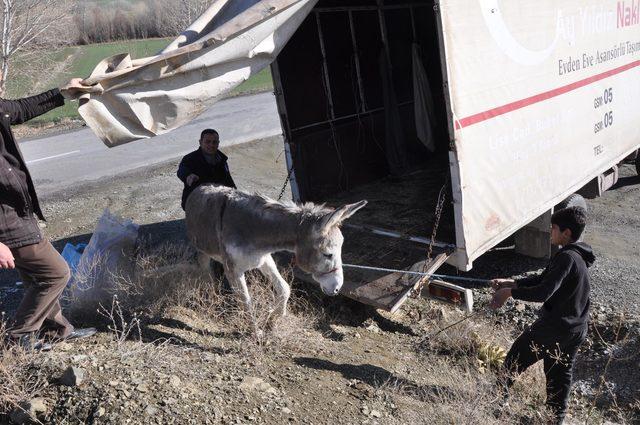 Yaralı eşeğe sahip çıktılar