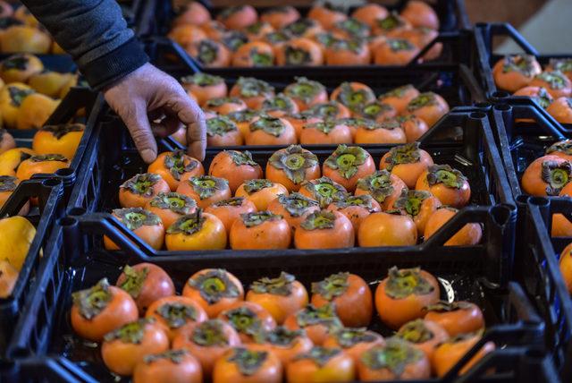 Yerli Malı Haftası'na girilirken yerli üretimde son durum