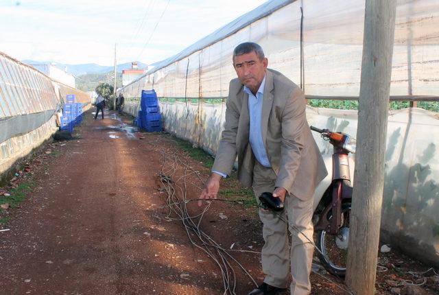 Kaş'ta yağmur ve hortum seraları vurdu (3)