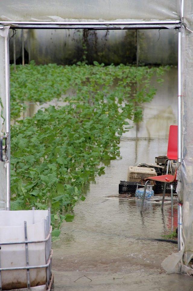 Yalova’da dere taştı, 50 sera sular altında kaldı