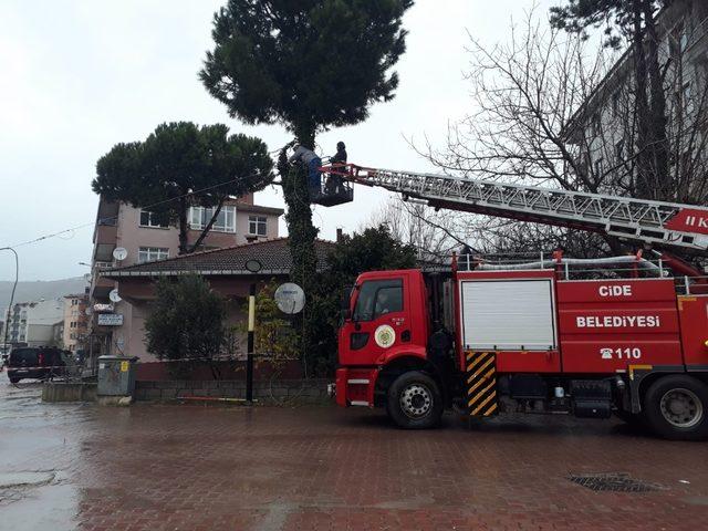 Cide’de fırtına etkili oldu