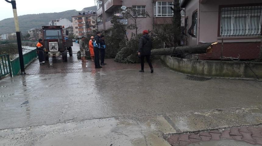 Cide’de fırtına etkili oldu