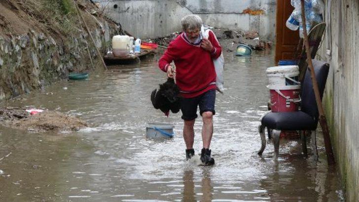 Su bastı, hayvanlar telef oldu  G1