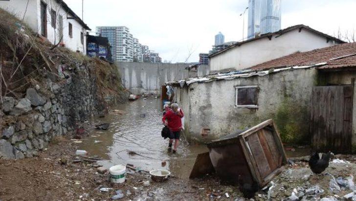 Su bastı, hayvanlar telef oldu  G3