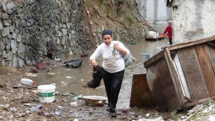 Su bastı, hayvanlar telef oldu  G5