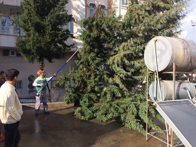 R&uuml;zgar ağa&ccedil; ve duvarı yıktı 2