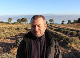 Lisinia'da 6 milyon lavanta fidesi üretildi