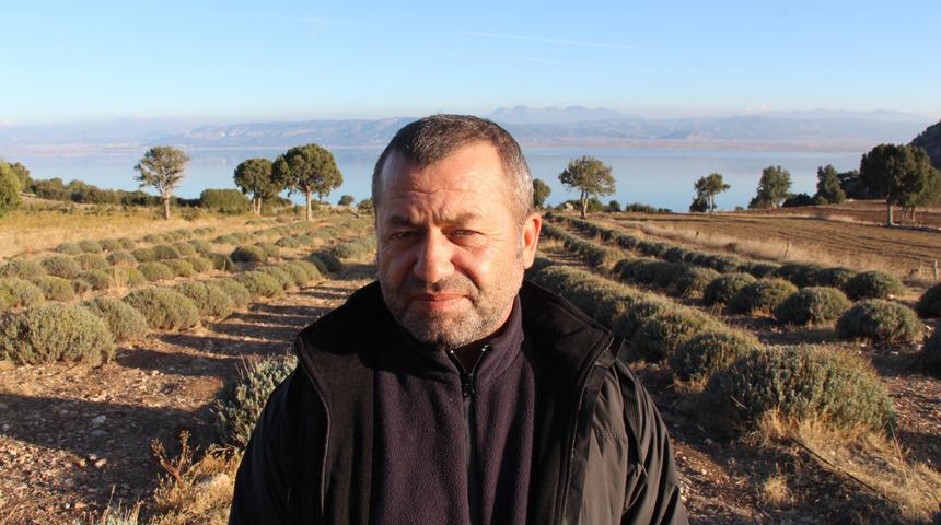 Lisinia'da 6 milyon lavanta fidesi üretildi