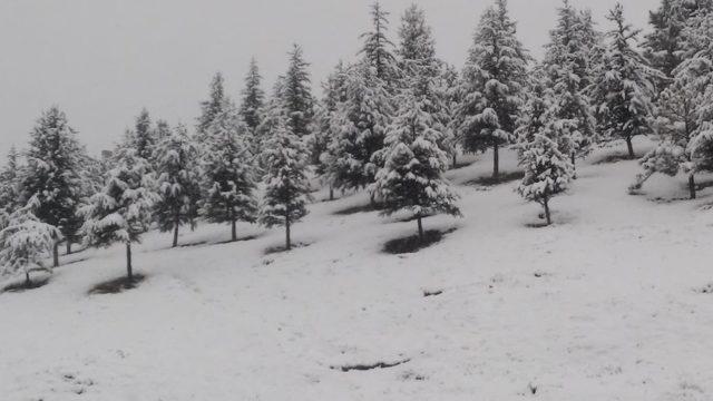 Afyonkarahisar’ın İscehisar ilçesinde kar yağışı başladı