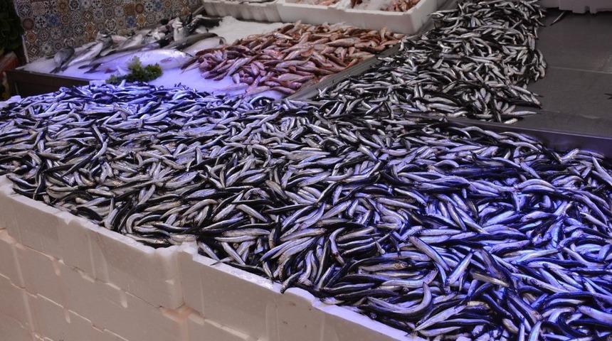 Sinop&rsquo;ta hamsi fiyatı arttı