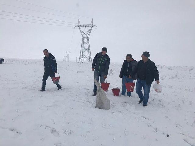 Kars’ta yaban hayvanlar için doğaya yem bırakıldı