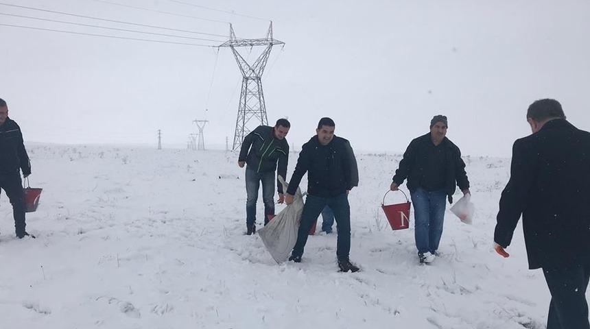 Kars&rsquo;ta yaban hayvanlar i&ccedil;in doğaya yem bırakıldı