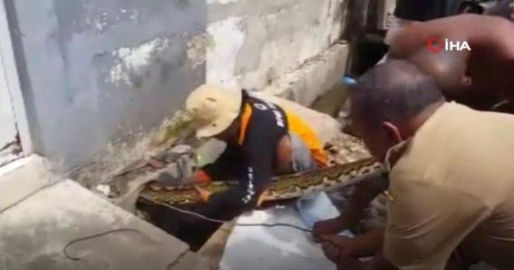 Dev piton evin borusuna gizlenmiş! G2