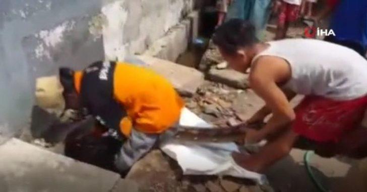 Dev piton evin borusuna gizlenmiş! G4