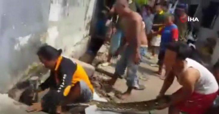 Dev piton evin borusuna gizlenmiş! G5