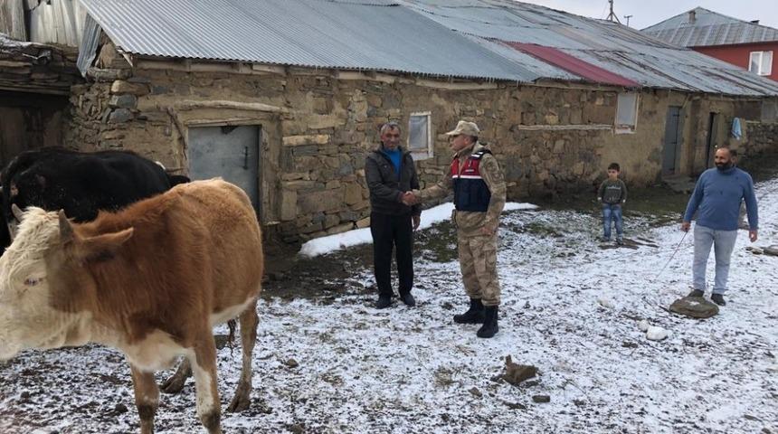 &Ccedil;aldıkları hayvanları satmaya &ccedil;alışınca yakalandılar