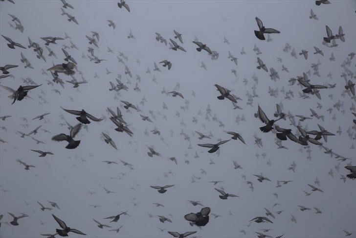 Kapadokya'da masalsı manzaralar G4