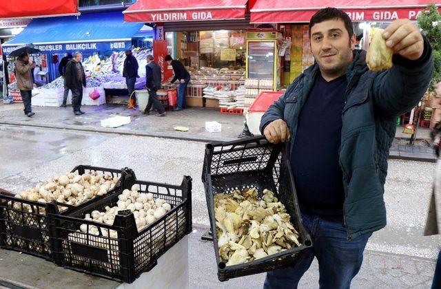 Bu mantarı tadan, diğerlerine elini sürmüyor