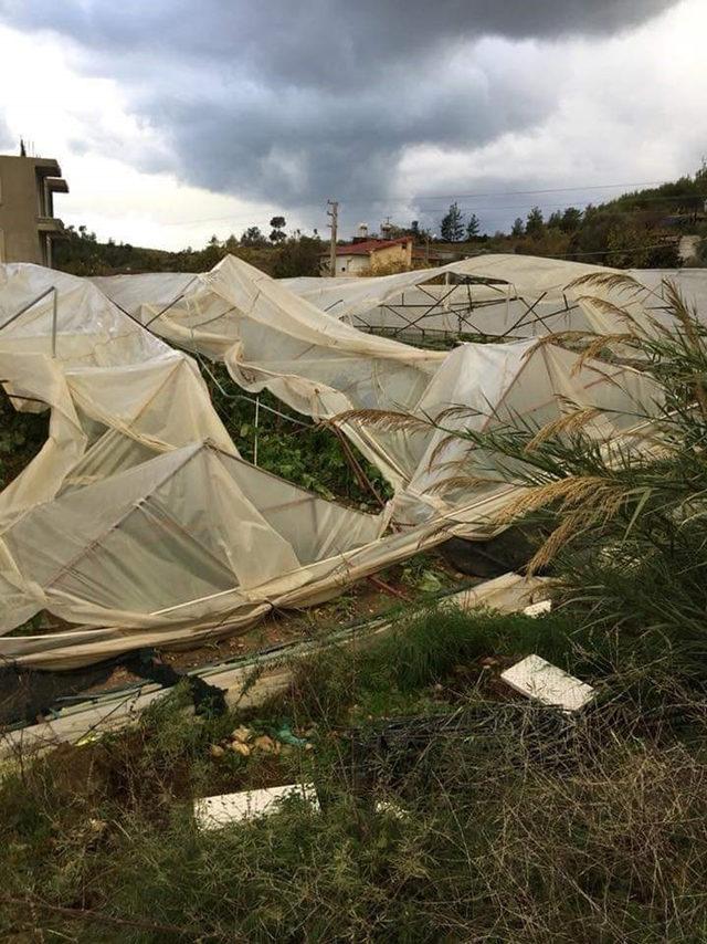 Gazipaşa'da hortum tarım alanlarına zarar verdi