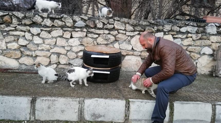 Sokaktaki kediler &uuml;ş&uuml;mesin diye lastikten kedi evi yaptı
