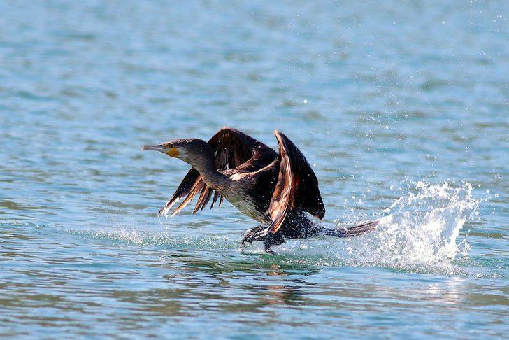 Muğla ziyaretçilerini her mevsim ayrı güzellikle karşılıyor G5