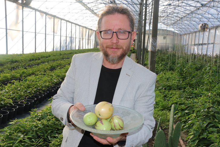 Yılda 1 milyon üretiyor! tanesi 5 lira G5