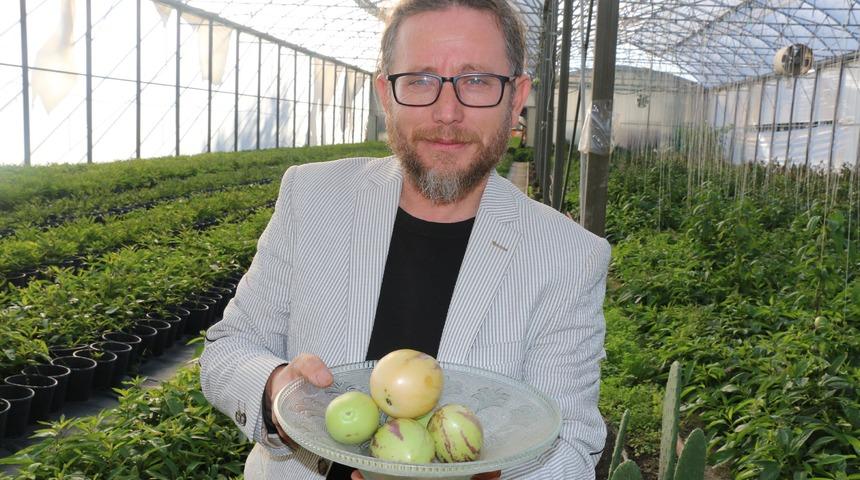 Şifa niyetine diktiği 'pepino' gelir kaynağı oldu