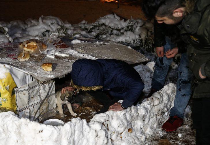  Köpek yavrularını donmaktan son anda kurtardılar G4